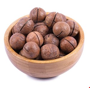 ماکادمیا بزرگترین سایز (فندق استرالیایی)
